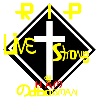 SpiderMonkeyMMA_'s emblem