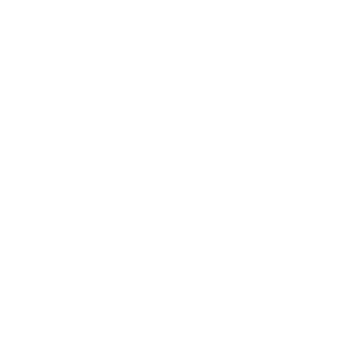 inflexible19's emblem