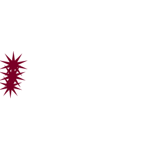1plaY2owN's emblem