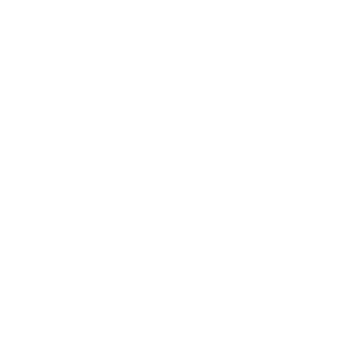 IE_Javex's emblem