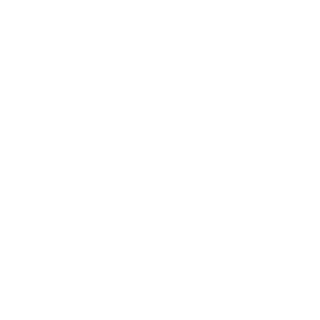 TZYK27's emblem