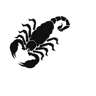 Mirotvores555's emblem