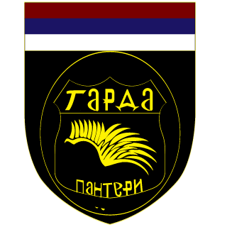 DIMASCIK's emblem