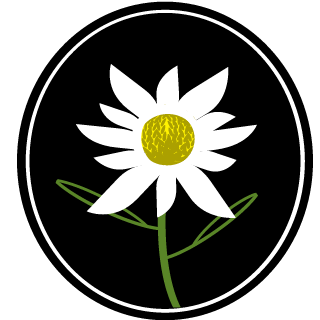 Airhertz's emblem