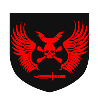 DFA29's emblem