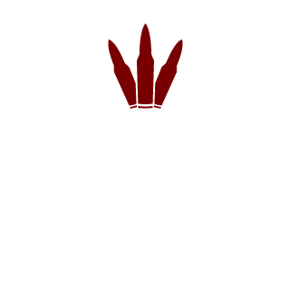 21pau's emblem