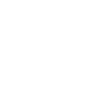 SABOTEUR9595's emblem