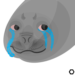 THEDANKPENGUIN's emblem