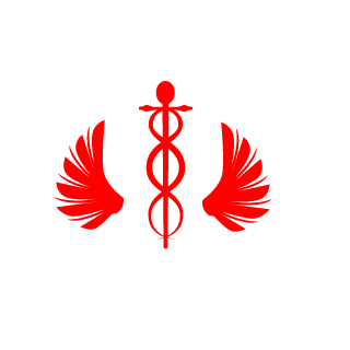 Airborne263's emblem