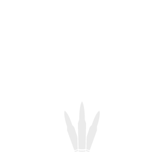 Mexsniper0815's emblem