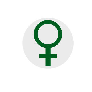 88Kakis's emblem