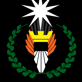 Fireheart951's emblem