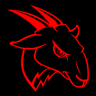 YnZ Strix's emblem