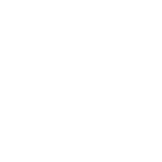 iBerkiify's emblem