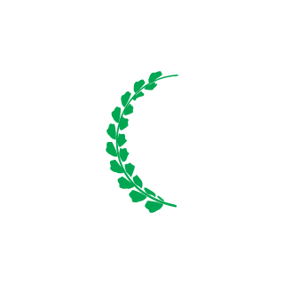14958945645's emblem
