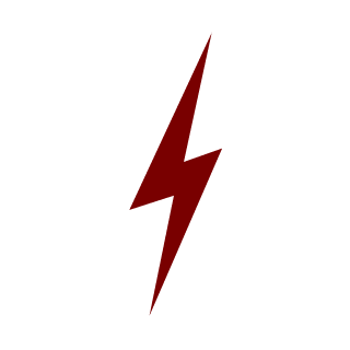 _V1RAJ_'s emblem