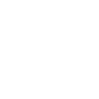 5si41bun's emblem