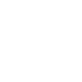 Zireaelcs's emblem