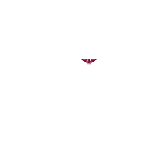 Sir_Jonson79's emblem