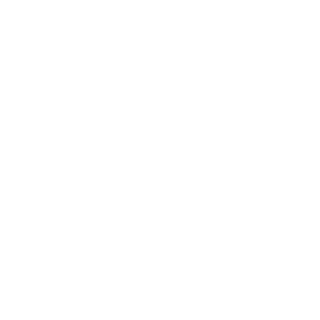 diversant509's emblem