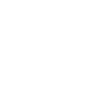 NeVerminD_357's emblem
