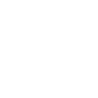 CAUSE_YOU_FAT's emblem