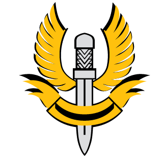 Vital_Shooters's emblem
