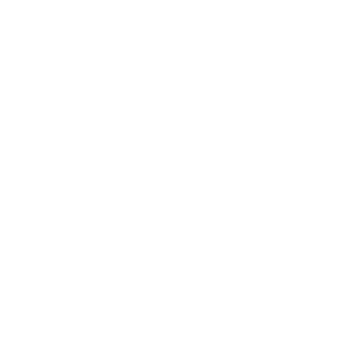 b0ahemaa's emblem