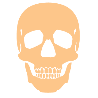 MetalHeadBFG's emblem