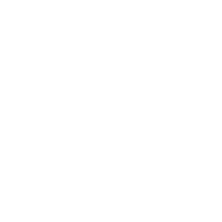Firstgear302's emblem