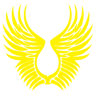 141Hawkeye's emblem