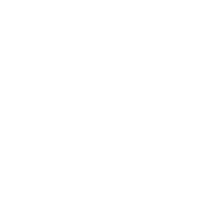 ManUtd_Dani's emblem