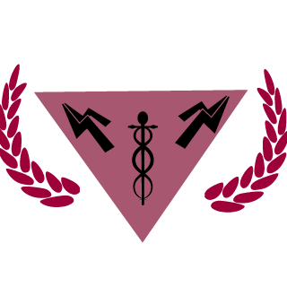 H_MasteR49's emblem