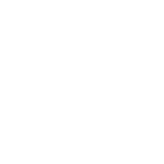 caBAN1302's emblem