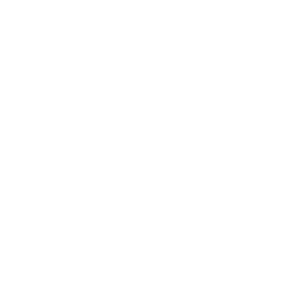 bishoysamirfoa's emblem