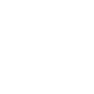 ZeDoAleM's emblem