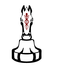 KishinNext's emblem