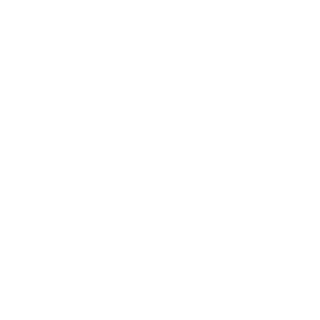 hamidoo1's emblem