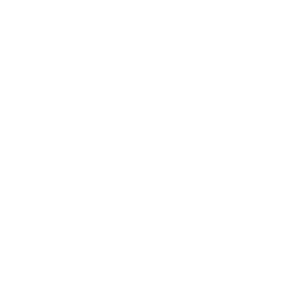 TheRui31's emblem