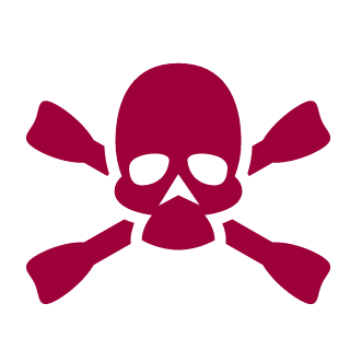 V-KING_85's emblem