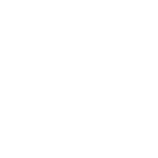 Narvak's emblem