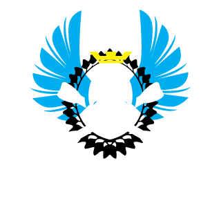 DTMCRAZY's emblem