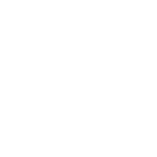 Nidamir's emblem