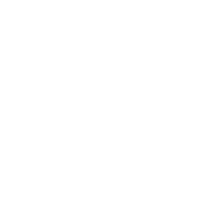 DFM_2002A's emblem