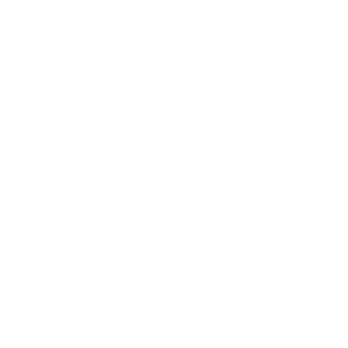 Tigerfront's emblem