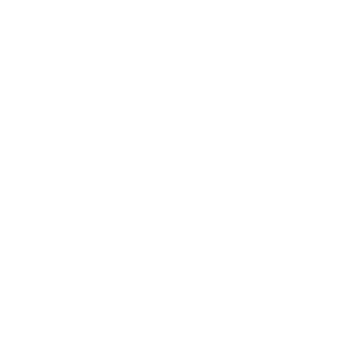 MSXNA's emblem