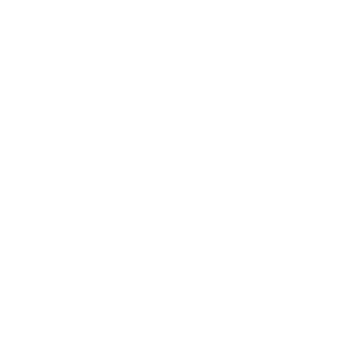 SoftBR17's emblem