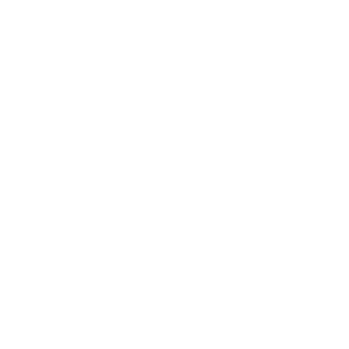 AZooMii's emblem