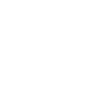 SuperZangadim's emblem