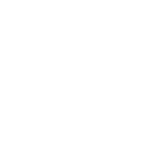 ItZ_Steg13's emblem